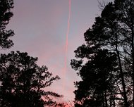 Sunset at Martin Dies State Park Even the contrail was happy