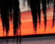 Sunset at Martin Dies State Park Spanish moss and sunset fire
