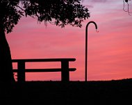 Sunset at Martin Dies State Park Waiting to hang around