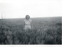 PhotoScan1116.jpg  1947 Pregnant Minnie in the McGregor wheat field : Minnie Fulgham : Viola McGregor,Doug McGregor,Bernard McGregor