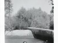 PhotoScan1252.jpg  The Fulghams and McGregors swimming in an irrigation ditch in California. : Doug McGregor : Frank Fulgham,Bernard McGregor,Minnie Fulgham,Oke McGreggor,Dewayne Fulgham