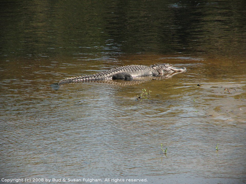 AlachuaSink