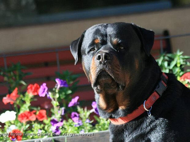 HolyGhost June 23 - 24 Scott's cabin at Tererro, NM I got to help William Jackson Scott Russell catch his first ever trout.