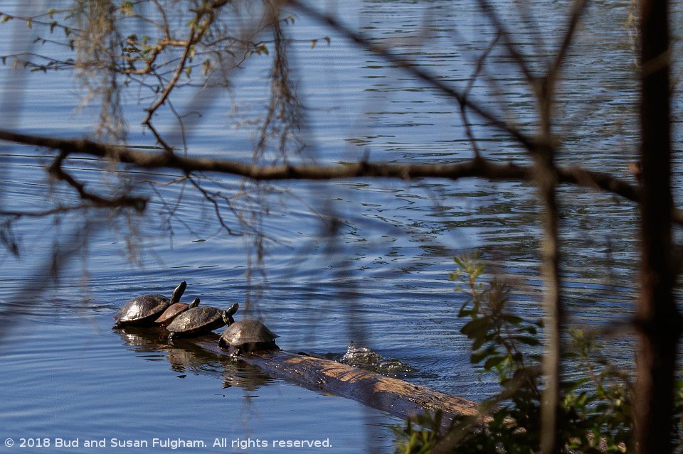 Kincaid Lake Campground